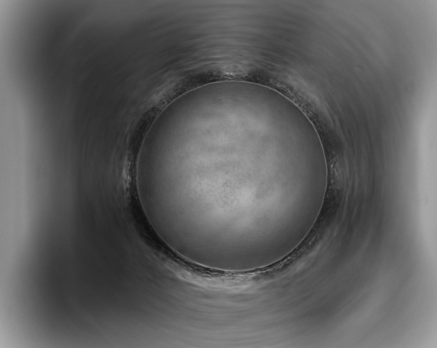 X0000096130032200801181121