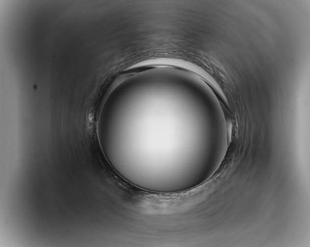 X0000096130033200801181121