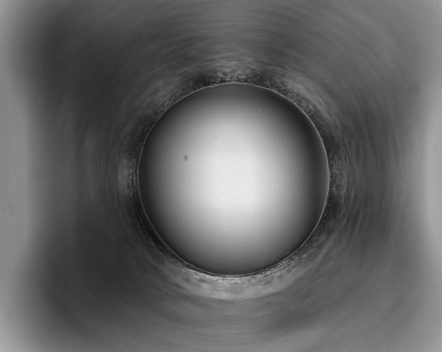 X0000096130034200801181121