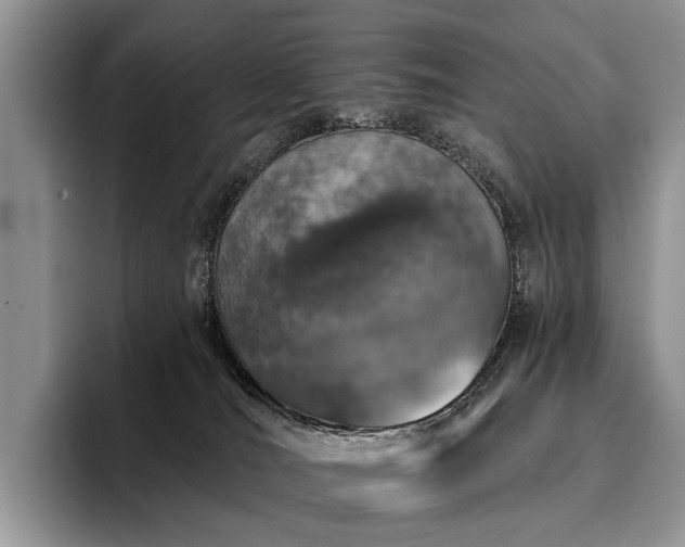 X0000096130036200801181121
