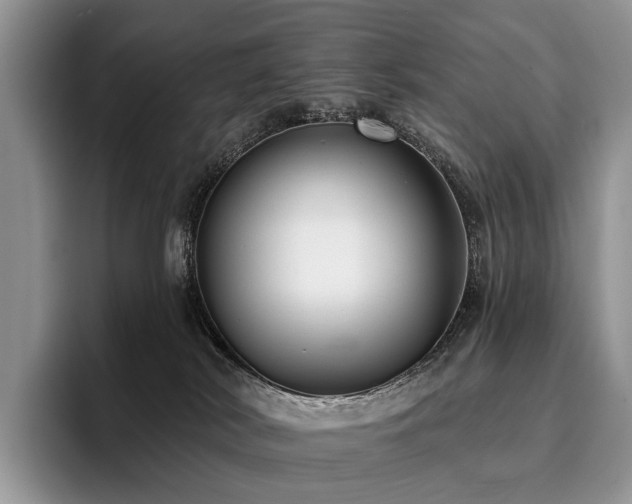 X0000096130038200801181121