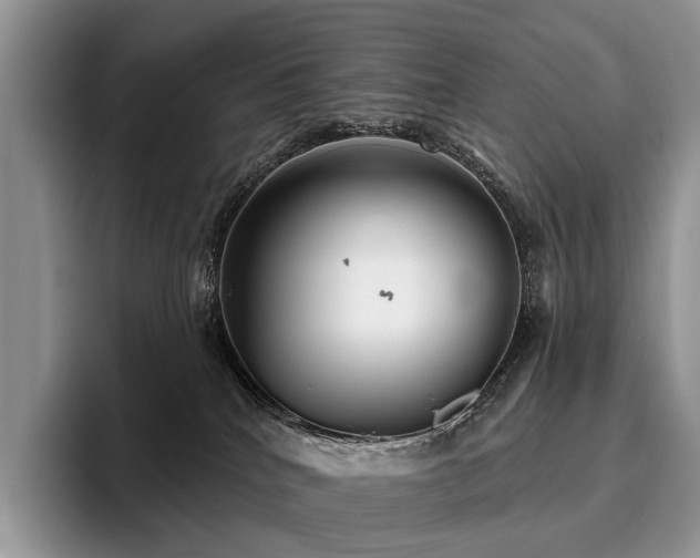 X0000096130040200801181121