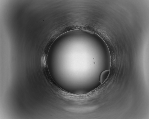 X0000096130042200801181121