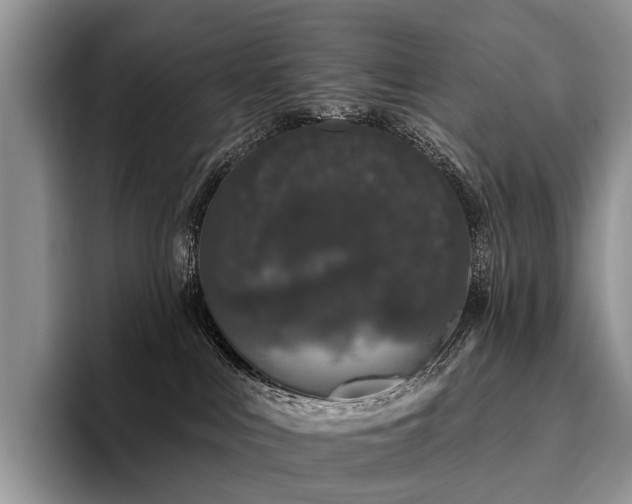 X0000096130043200801181121
