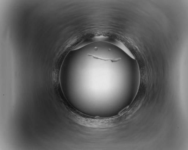 X0000096130044200801181121