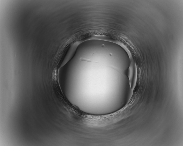 X0000096130045200801181121
