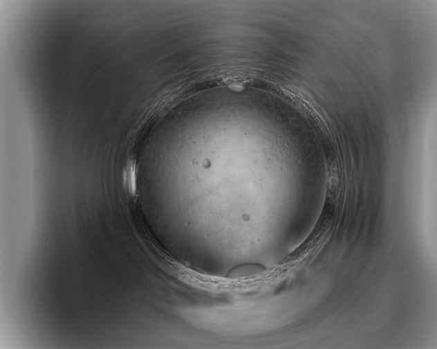 X0000096130046200801181121
