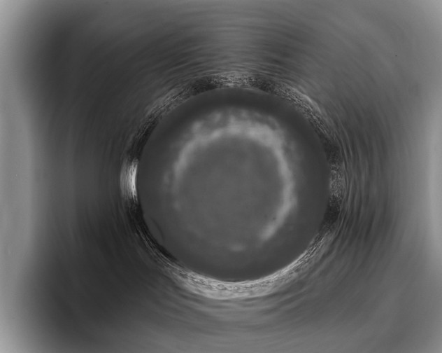 X0000096130047200801181121