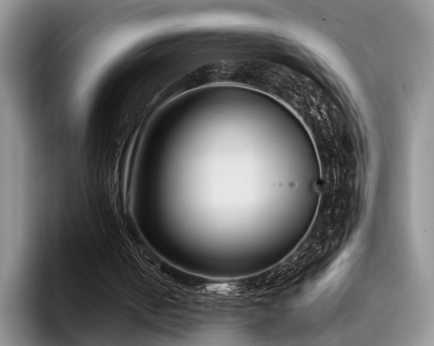 X0000096130050200801181121