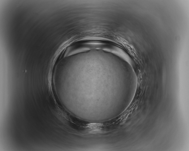 X0000096130051200801181121
