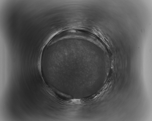 X0000096130052200801181121