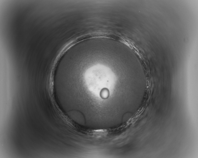 X0000096130053200801181121