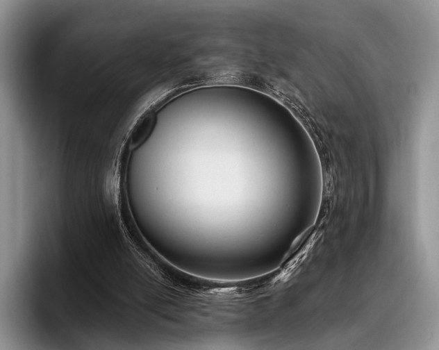 X0000096130054200801181121