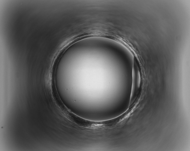 X0000096130055200801181121