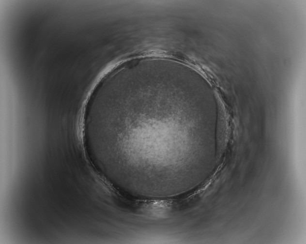 X0000096130056200801181121