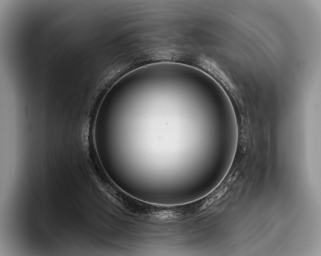 X0000096130058200801181121