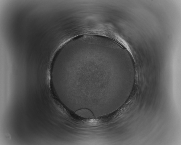 X0000096130059200801181121