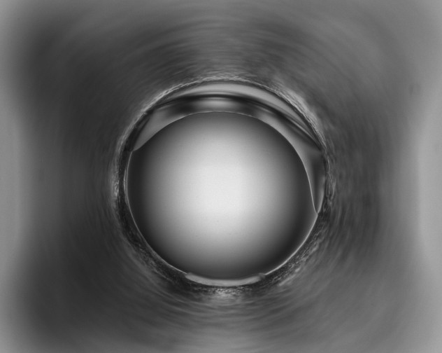 X0000096130060200801181121