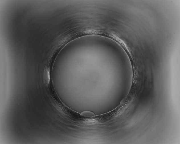 X0000096130061200801181121