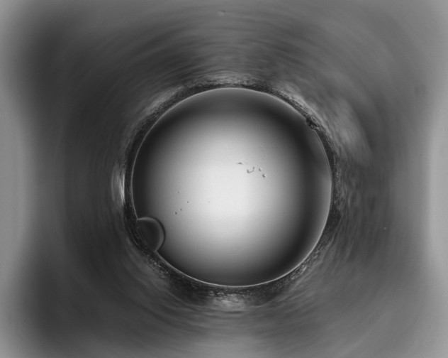 X0000096130062200801181121