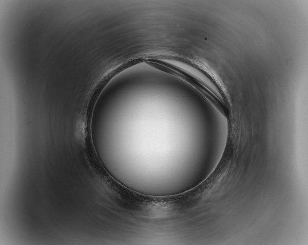 X0000096130063200801181121