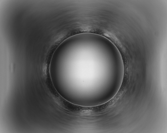 X0000096130066200801181121
