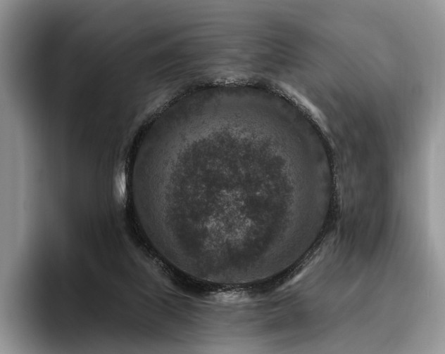 X0000096130067200801181121