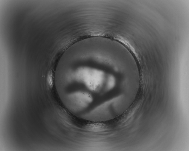 X0000096130069200801181121