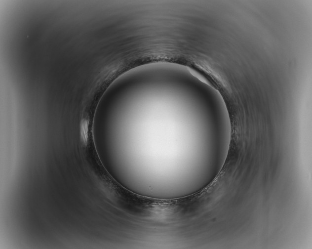 X0000096130070200801181121