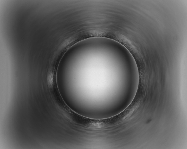 X0000096130071200801181121