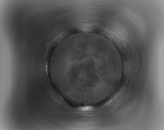 X0000096130073200801181121