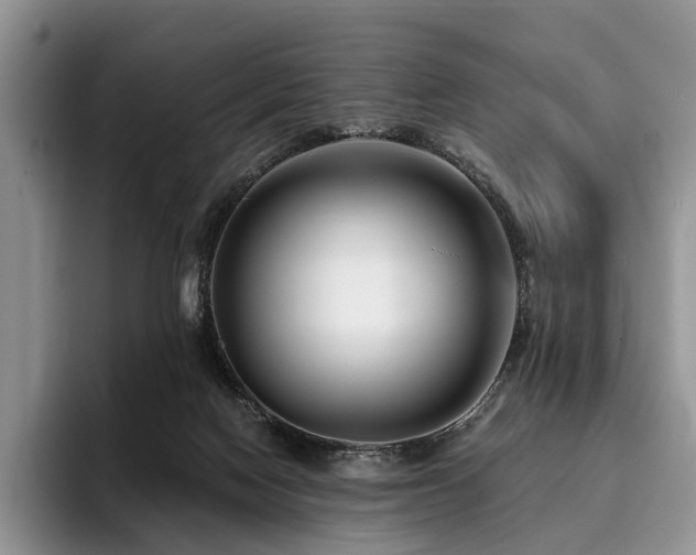 X0000096130074200801181121