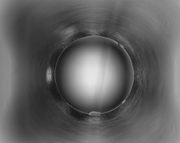 X0000096130075200801181121