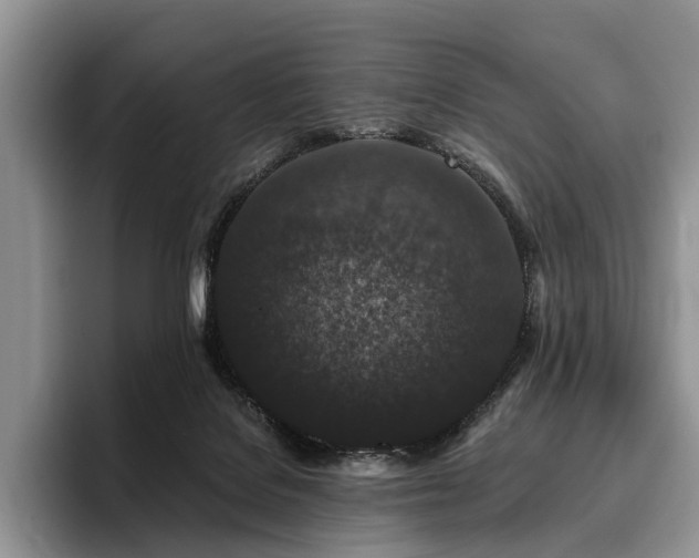 X0000096130076200801181121