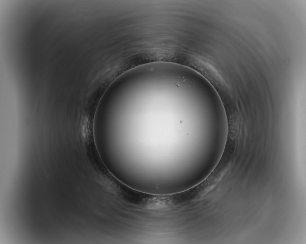 X0000096130077200801181121