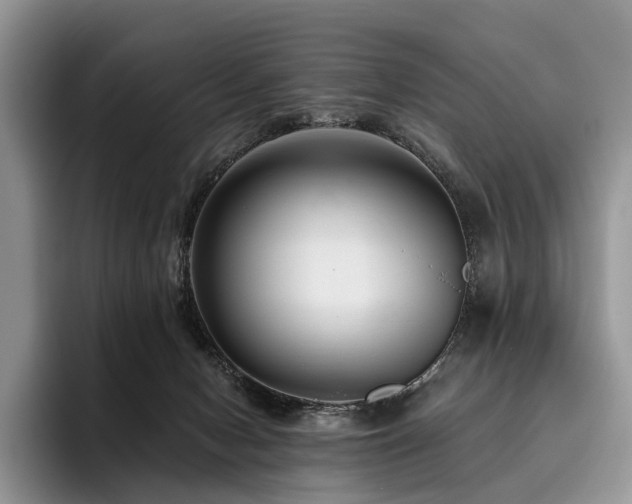 X0000096130078200801181121