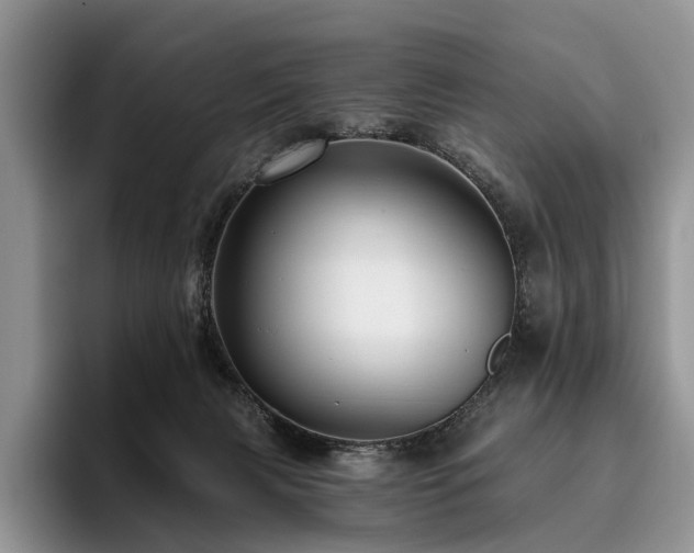 X0000096130079200801181121