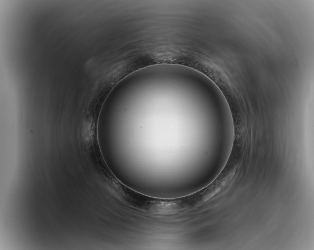X0000096130081200801181121