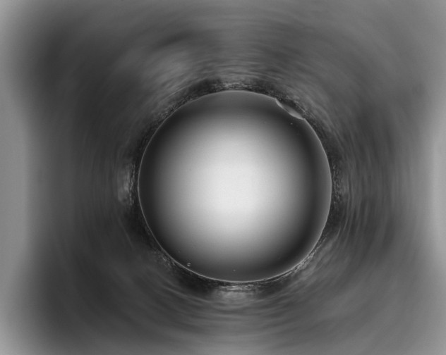 X0000096130082200801181121