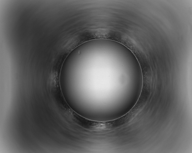X0000096130083200801181121