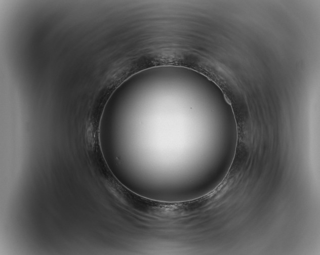 X0000096130086200801181121