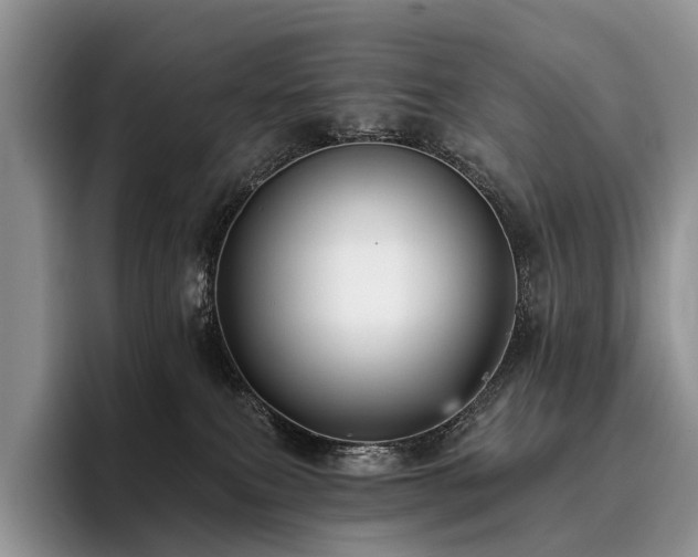 X0000096130087200801181121