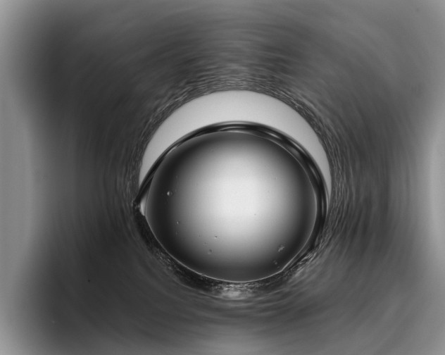 X0000096130088200801181121