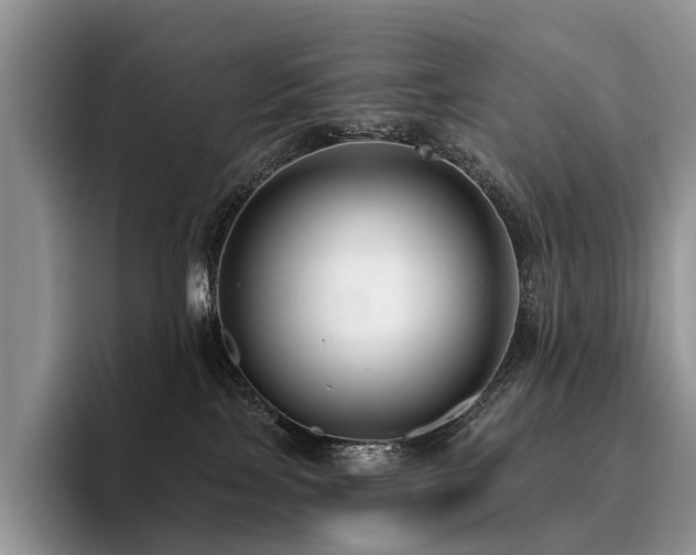 X0000096130089200801181121