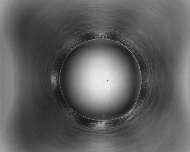 X0000096130090200801181121