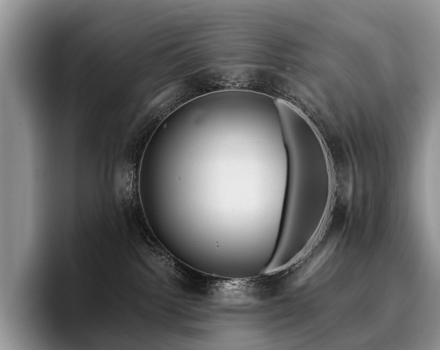 X0000096130092200801181121