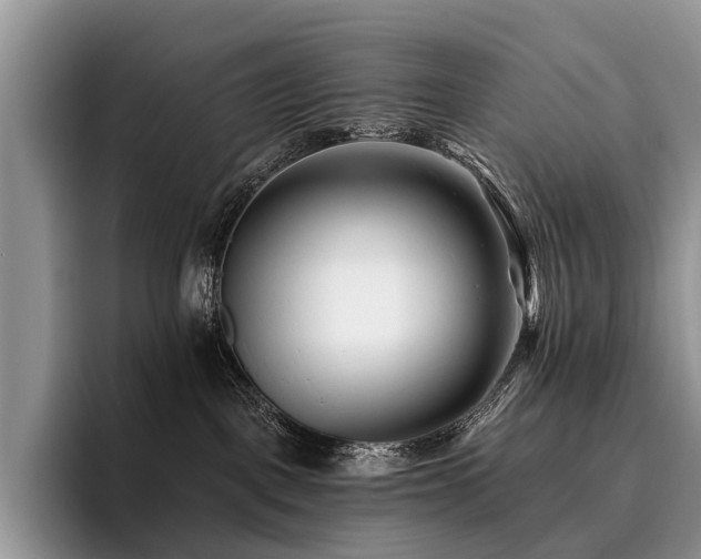 X0000096130093200801181121