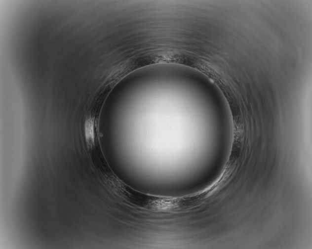 X0000096130094200801181121