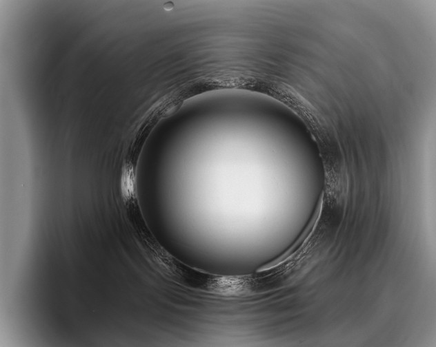 X0000096130095200801181121
