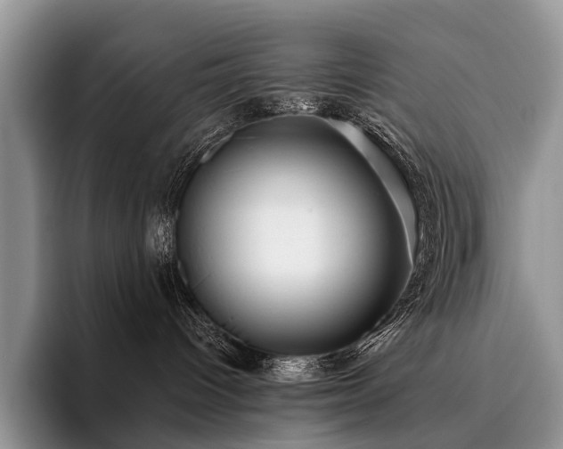X0000096130096200801181121